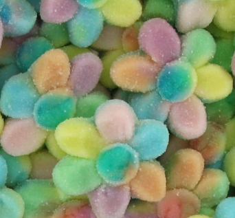 Fleurs multicolore sucrées (100g)